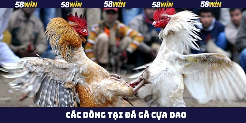 Top các dòng kê đá cựa dao mạnh nhất tại 58Win