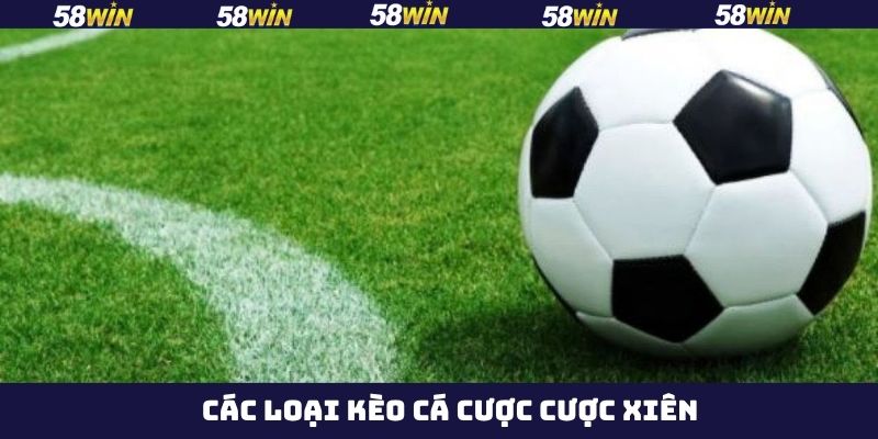 Lựa chọn xuống tiền ngay trong cược xiên 3