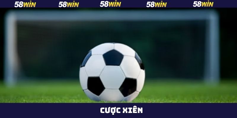 Cược Xiên - Chia Sẻ Tips Vào Tiền Luôn Thắng Từ 58Win