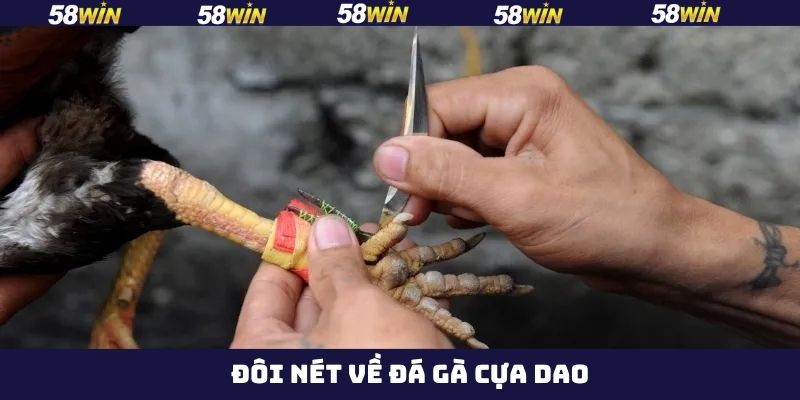 Khái quát về đá gà cựa dao tại 58Win