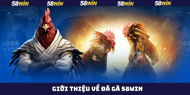 Thông tin tổng quan về hình thức chọi kê thú vị  