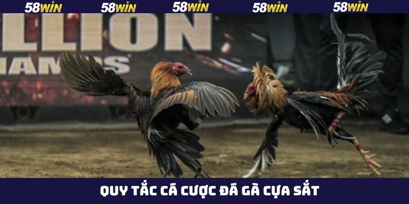 Trọng lượng chuẩn của chiến kê