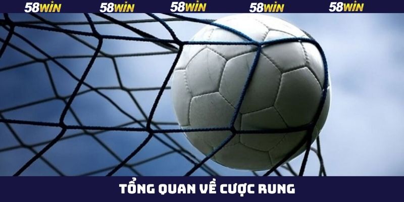 Thông tin cần hiểu rõ về cược rung