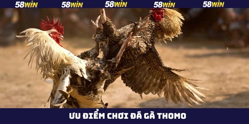 Xem trực tiếp rõ ràng từng chi tiết, đường dẫn ổn định 